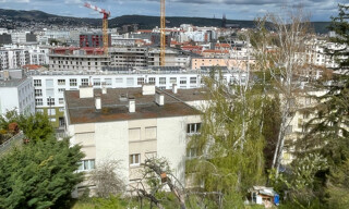 Photo N° 8