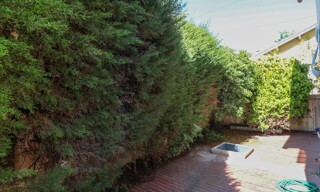Photo N° 4