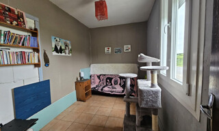 Photo N° 5