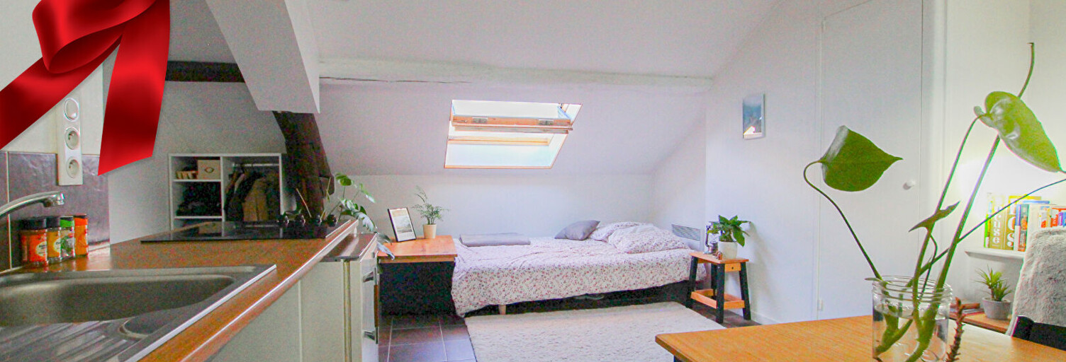 Appartement 1 Pièce 29 m² à vendre à Lyon 8 (69008)