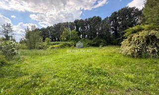 Photo N° 6