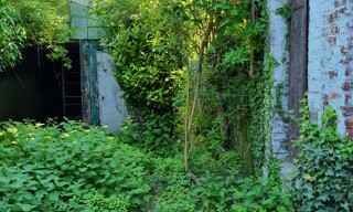 Photo N° 4