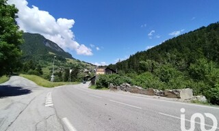 Photo N° 6