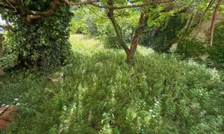 Photo N° 4