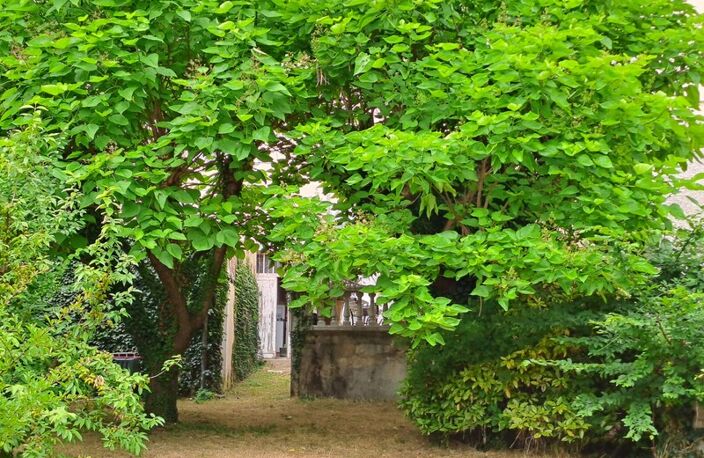 Maison 5 P+C — photo 2