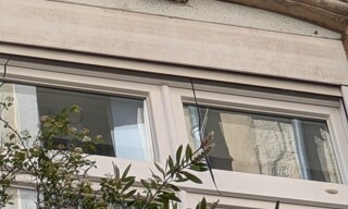 Commerce 15 Pièces 400 m² à vendre à Montpellier (34000)