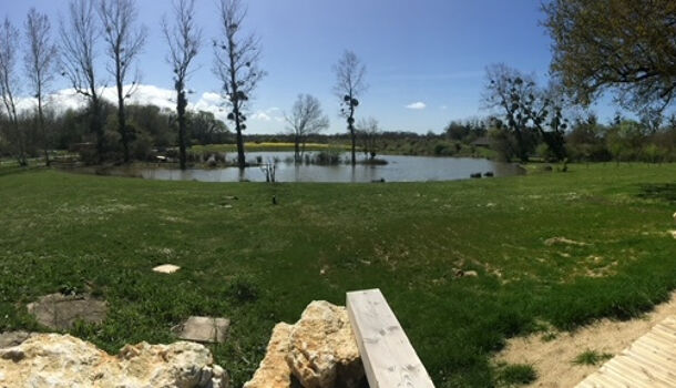 Propri&eacute;t&eacute; 10 pièces  à vendre Champagne 17620