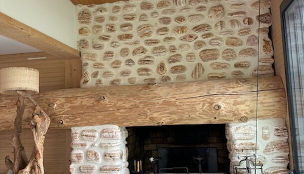 Propri&eacute;t&eacute; 10 pièces  à vendre Champagne 17620