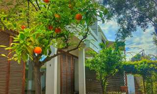 Maison 8 Pièces 250 m² à vendre à Hyères (83400)