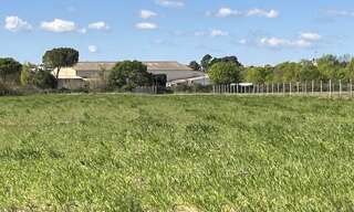 Terrain  11871 m² à vendre à Mèze (34140)