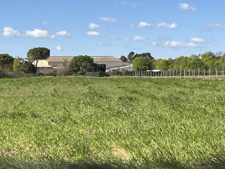 Terrain à construire  11871 m²  — photo 1