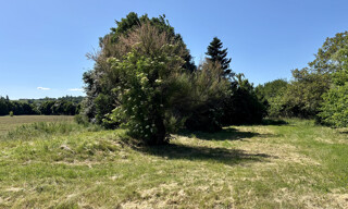 Photo N° 4