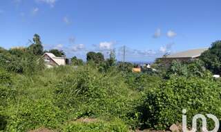 Photo N° 6