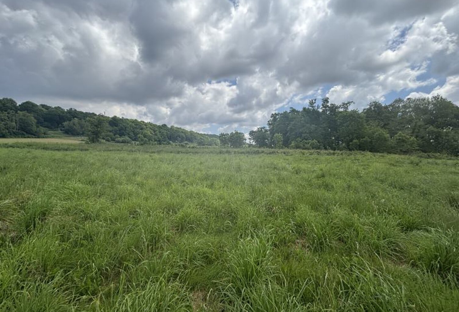 Terrain à bâtir de 0 pièces principales — photo 1