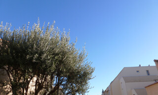 Appartement 2 Pièces 33 m² à louer à Montpellier (34090)