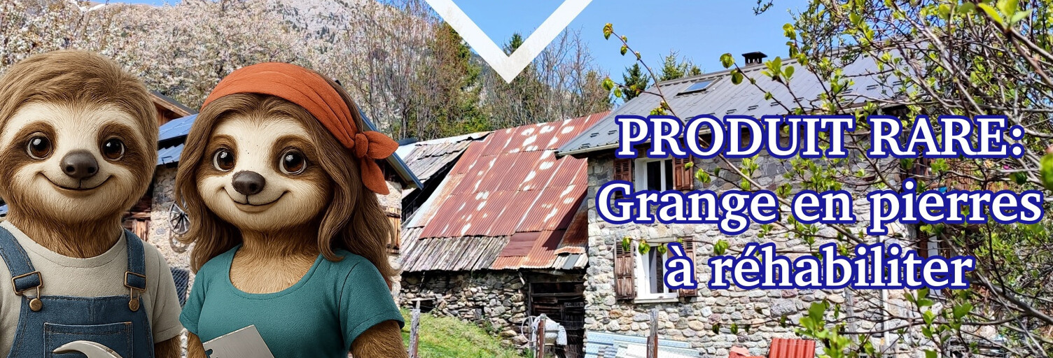 Maison 10 Pièces 300 m² à vendre à Valdeblore (06420)