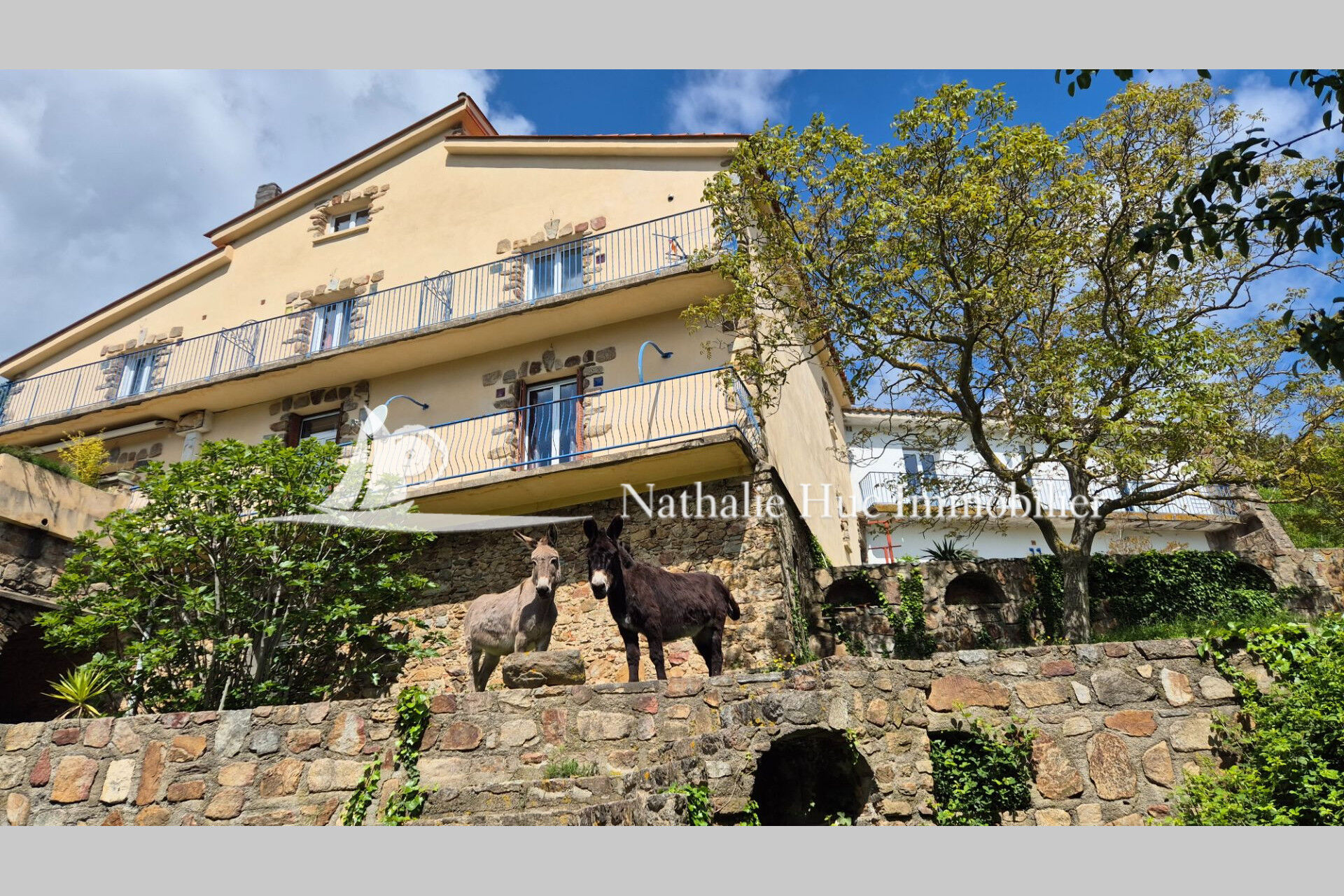 Propri&eacute;t&eacute;  T6 à vendre Maureillas-las-Illas 66480