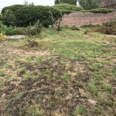 Terrain  81000 €