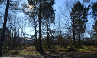 Terrain  800 m² à vendre à Gujan-Mestras (33470)