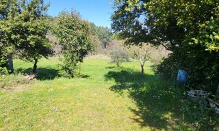 Photo N° 6