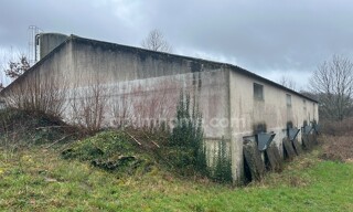 Photo N° 4