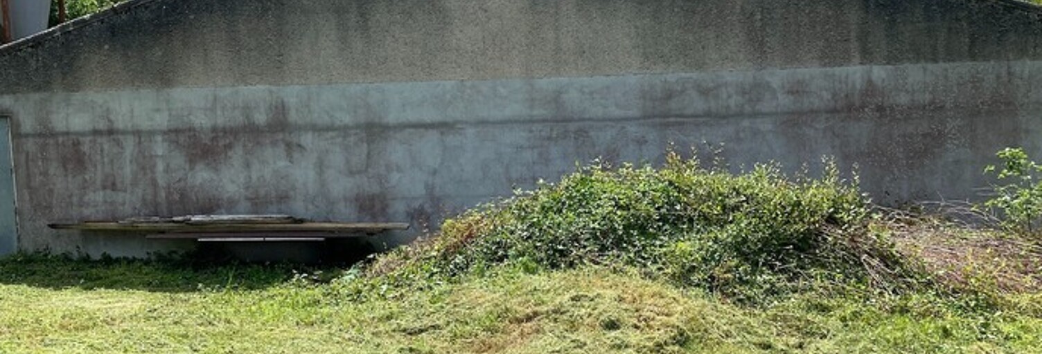 Maison 1 Pièce 420 m² à vendre à Saint-Sornin-Leulac (87290)