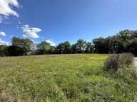 TERRAIN A BATIR PLAT COMMUNE DE NOAILHAC LIEU DIT FIALESSUCH — photo 2