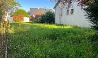 Photo N° 6