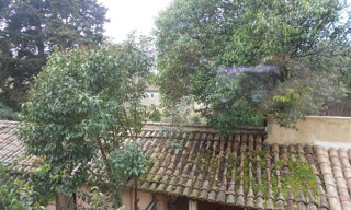Photo N° 5