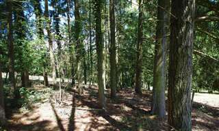 Maison  2663 m² à vendre à Saint-Germain-des-Prés (45220)