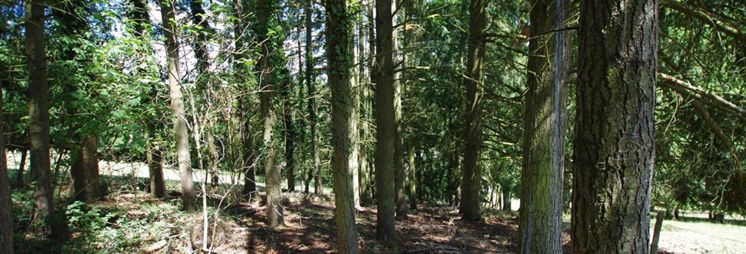 Maison  2663 m² à vendre à Saint-Germain-des-Prés (45220)