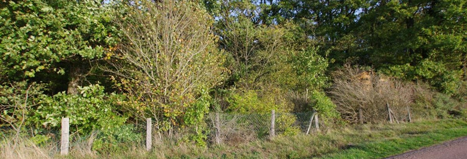 Maison 1 Pièce 2663 m² à vendre à Saint-Germain-des-Prés (45220)