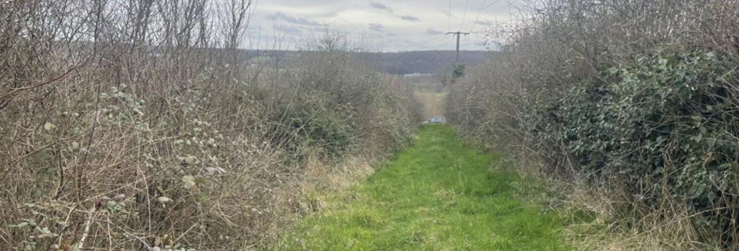 Maison 1 Pièce 930 m² à vendre à Château-Renard (45220)