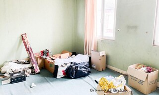 Photo N° 7