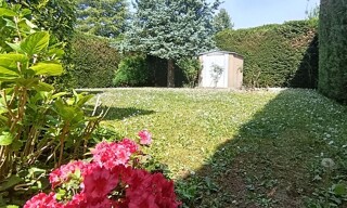 Photo N° 4