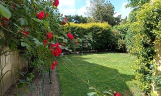 Photo N° 3