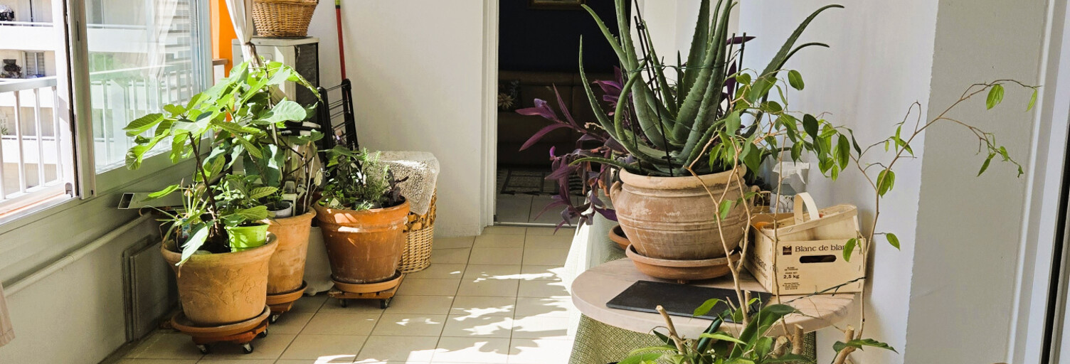 Appartement 3 Pièces 59 m² à vendre à Marseille 3 (13003)