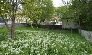Photo N° 5