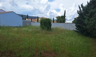 Photo N° 3