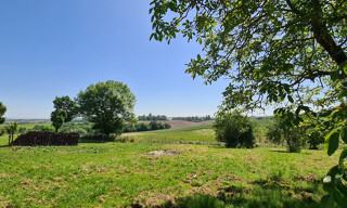 Photo N° 3