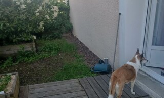 Photo N° 3