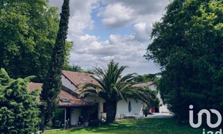 Photo N° 6