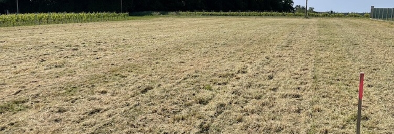 Terrain  1600 m² à vendre à Jonzac (17500)