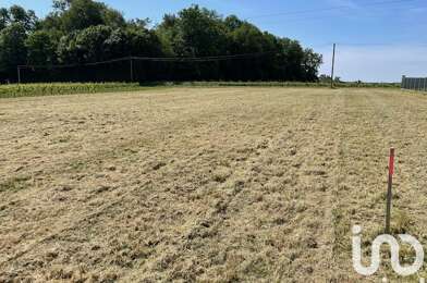 Terrain  40000 €
