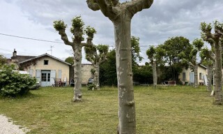 Photo N° 5