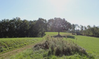 Photo N° 4