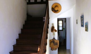 Photo N° 6