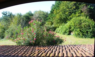 Photo N° 13