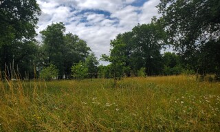 Terrain  375 m² à vendre à Le Barp (33114)