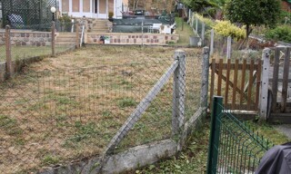 Photo N° 6